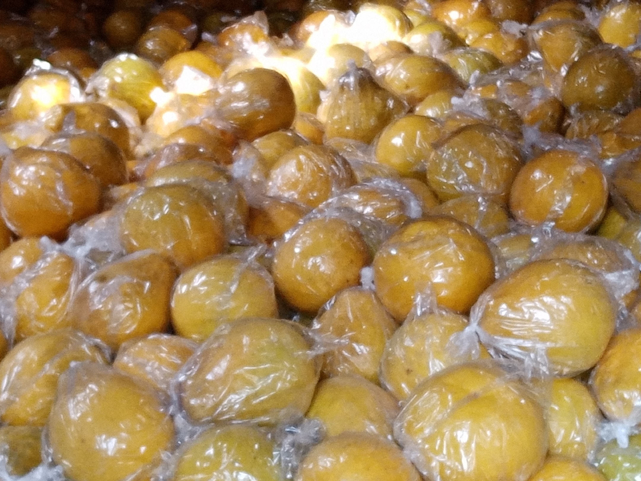 梅州市核心沙田柚产区航拍图