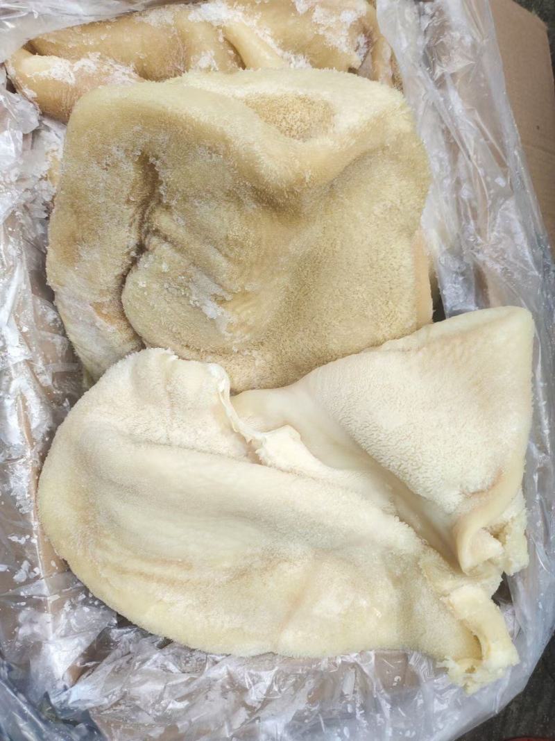牛肚23升