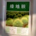 红叶地肤种子绿叶地肤草种子地麦铁扫帚苗菜种子园林景观花海