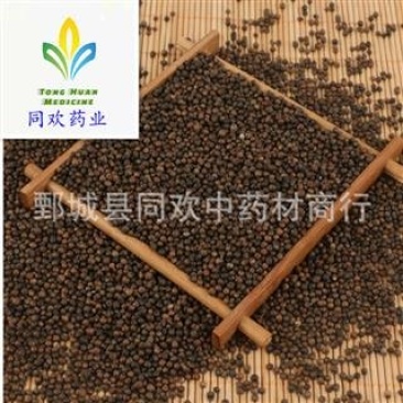 【黄荆子牡荆子】规格齐全量大从优产地山东