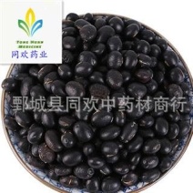 【黑豆】@【同欢药材】中药材批发供应规格齐全