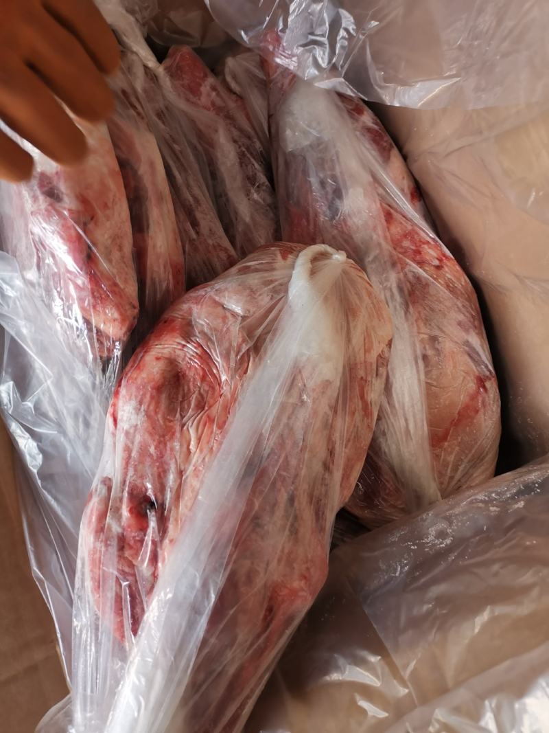 纯干羔羊前腿，新鲜现货，颜色漂亮，高质量长期供应价格合适