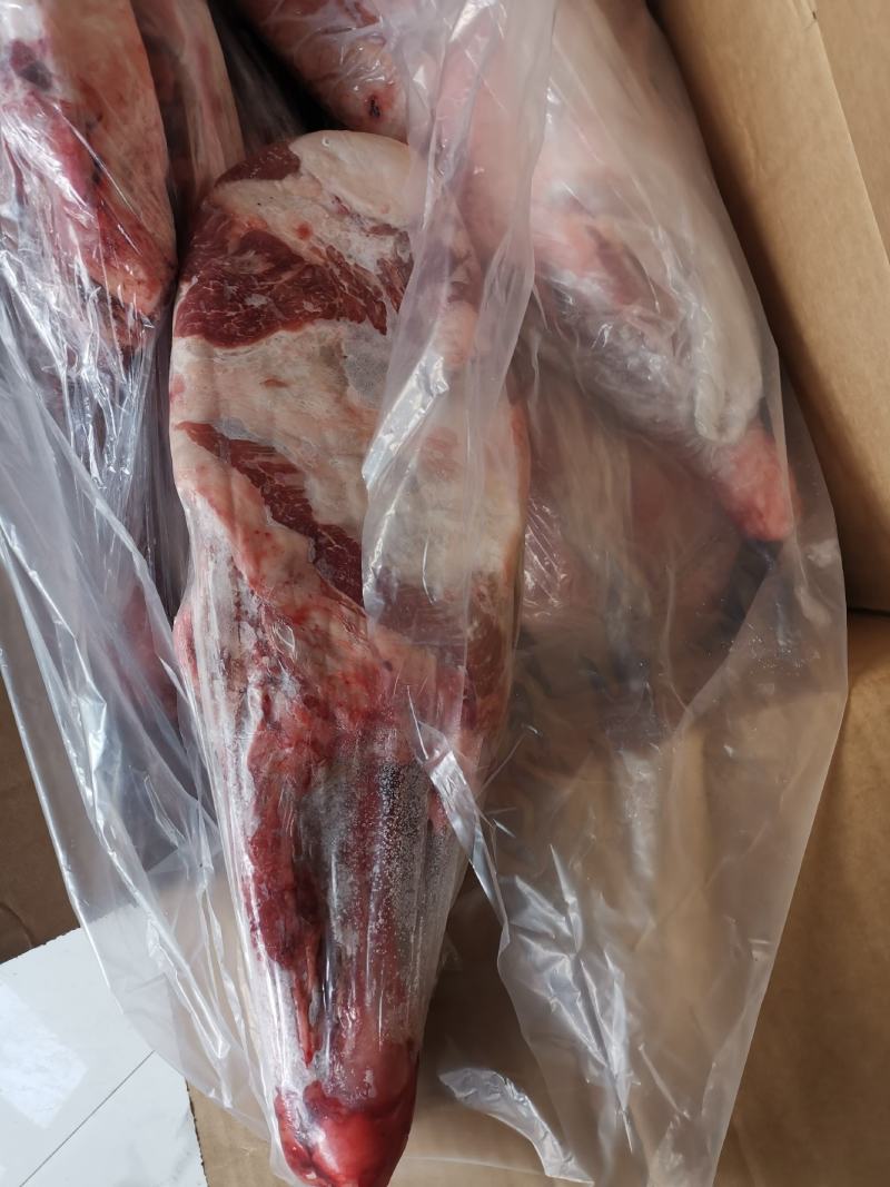 纯干羔羊前腿，新鲜现货，颜色漂亮，高质量长期供应价格合适