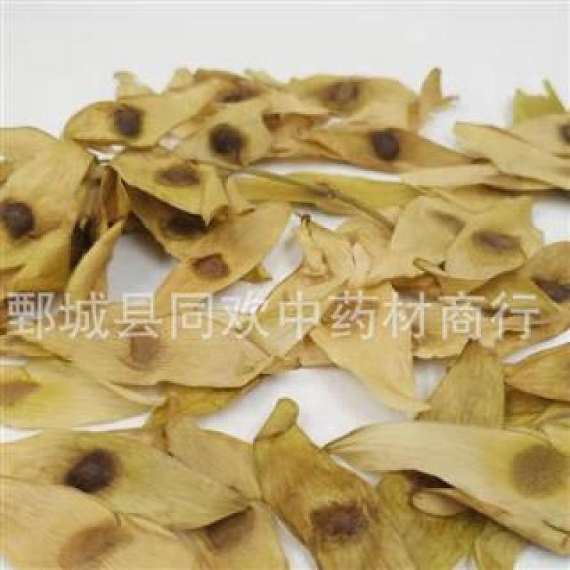 【凤眼草】@【同欢药材】中药材批发供应规格齐全