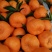 椪柑