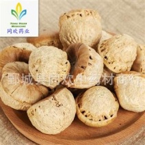 【风流果】@【同欢药材】中药材批发供应