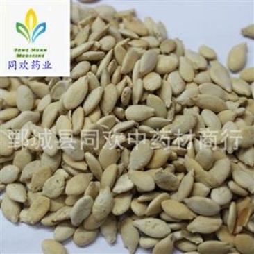 【单边冬瓜子】@【同欢药材】中药材批发供应规格齐全