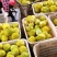 鼎牌金美2号甜瓜种子，早熟高甜，抗病力强连作区种植优选