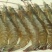 【8斤大虾】已做核酸,青岛海捕大虾基围虾顺丰冷链包邮
