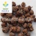 【刺梨】@【同欢药材】中药材批发供应规格齐全