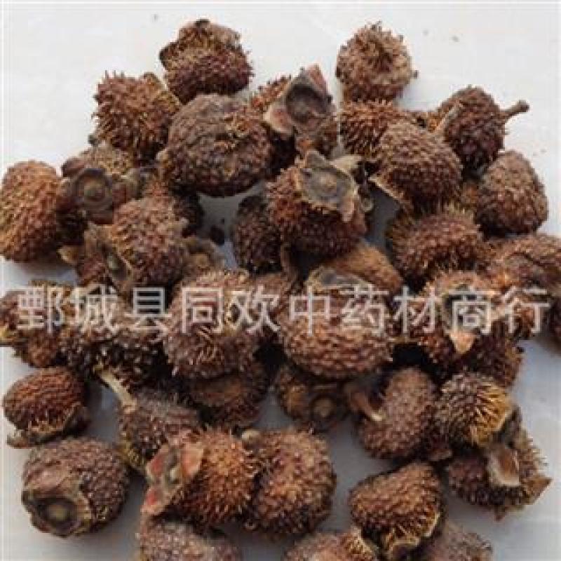 【刺梨】@【同欢药材】中药材批发供应规格齐全