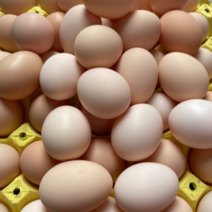 精品双色土鸡蛋长期供应超市可长期合作可送货