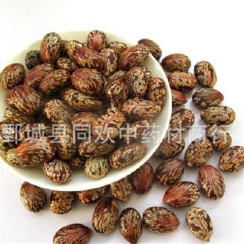 【蓖麻子】@【同欢药材】中药材批发供应规格齐全