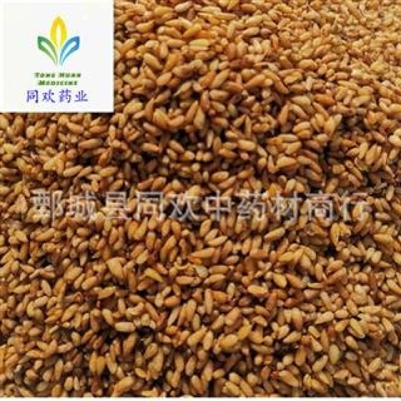 【好统货柏子仁】@【同欢药材】中药材批发供应
