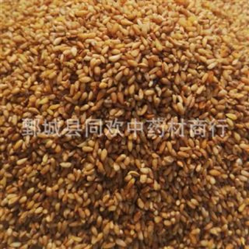 【好统货柏子仁】@【同欢药材】中药材批发供应