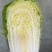宿迁白菜源头产地