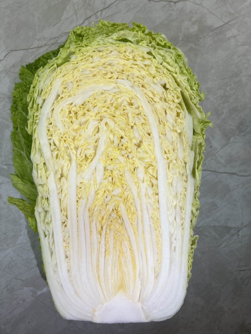 宿迁白菜源头产地