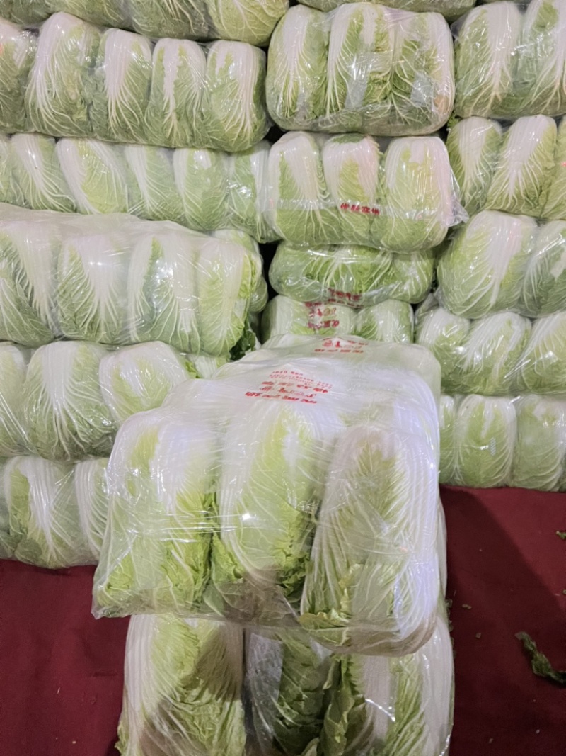 宿迁白菜源头产地