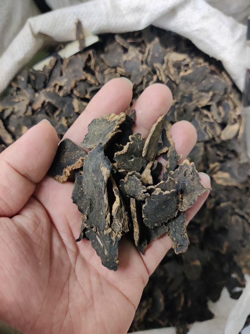 玄参统货选货玄参规格齐全产地供货无硫无添加