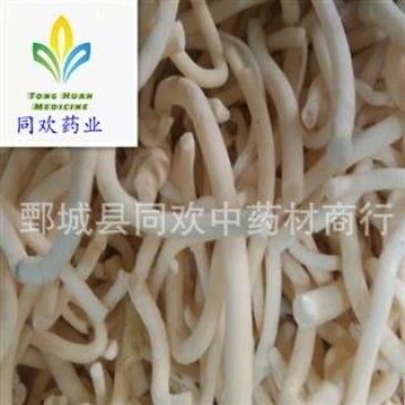 【水洗小通草】@【同欢药材】中药材批发供应