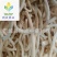 【水洗小通草】@【同欢药材】中药材批发供应