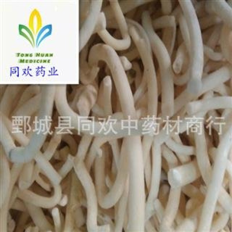 【水洗小通草】@【同欢药材】中药材批发供应