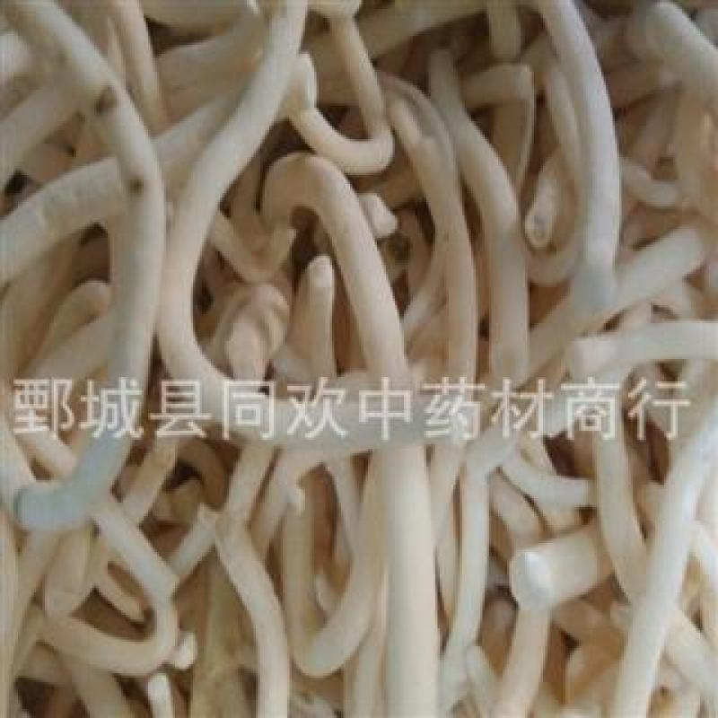 【水洗小通草】@【同欢药材】中药材批发供应