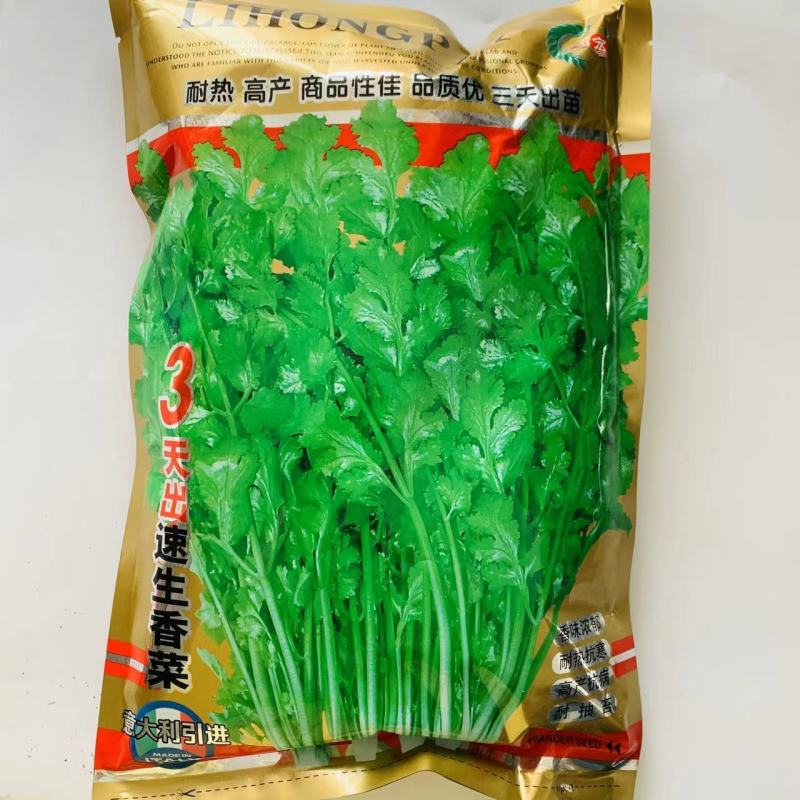3天出速生香菜种子意大利进口芫荽种籽香味浓郁耐热抗寒