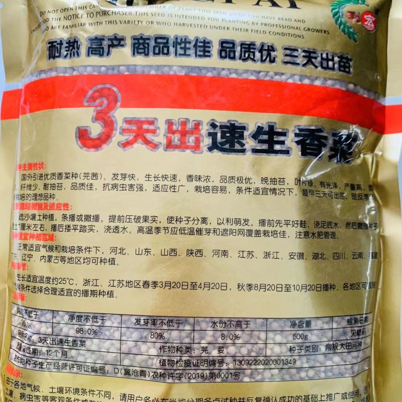 3天出速生香菜种子意大利进口芫荽种籽香味浓郁耐热抗寒