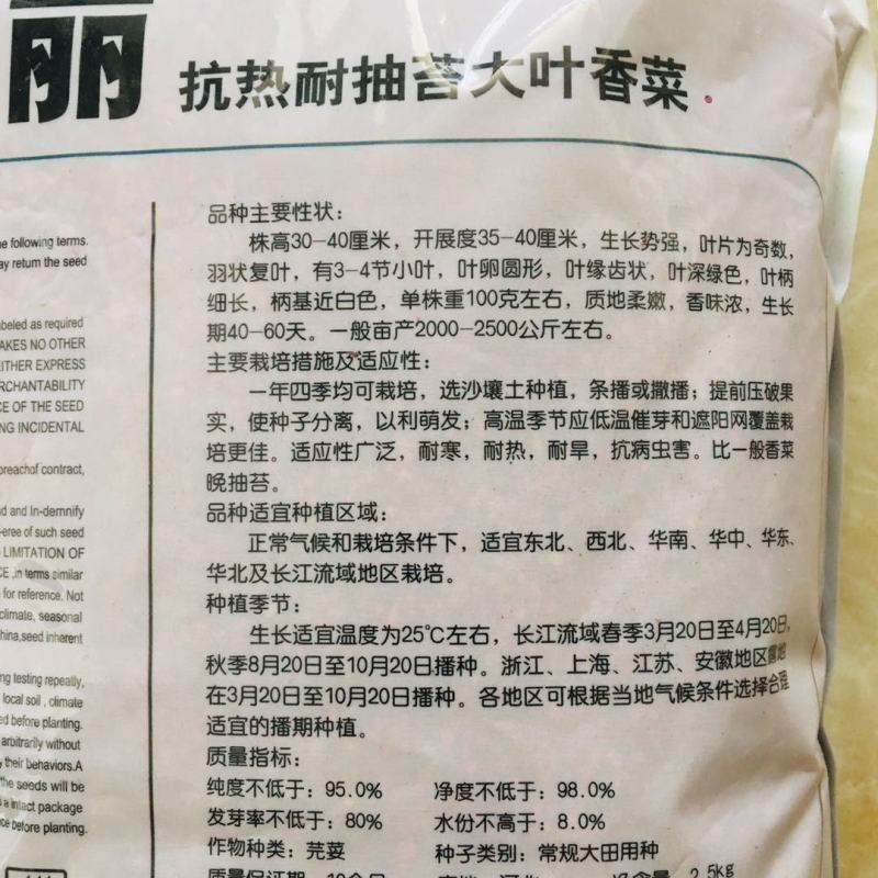 宝丽香菜种籽5斤装抗热耐抽苔大叶香菜种子四季均可播种耐旱