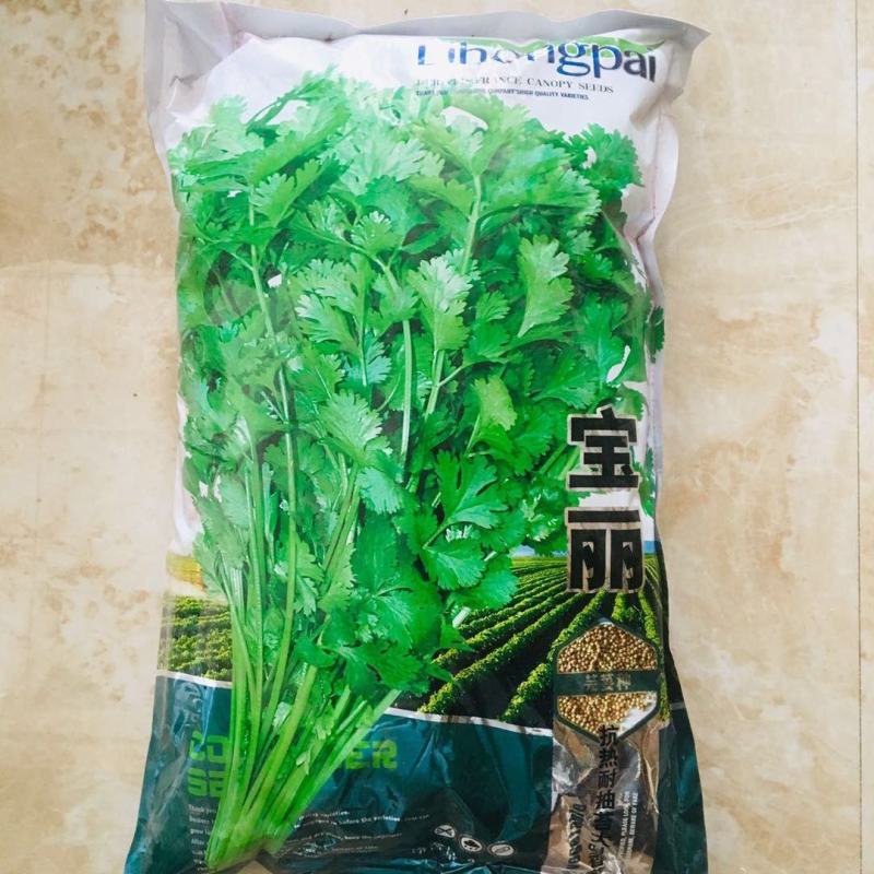 宝丽香菜种籽5斤装抗热耐抽苔大叶香菜种子四季均可播种耐旱