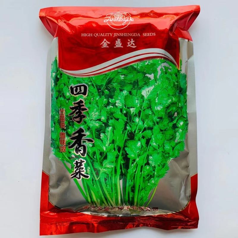 速生香菜种子芫荽种孑进口意大利香菜种籽四季抗热耐寒香菜