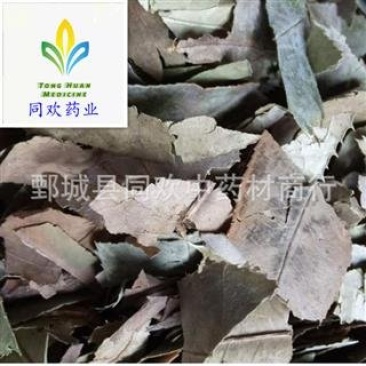 【石楠叶】@【同欢药材】中药材批发供应规格齐全量大从优
