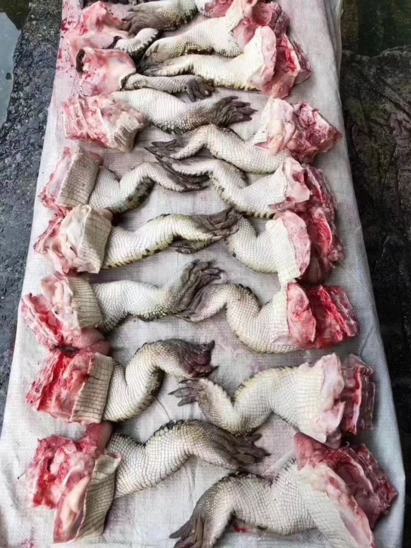 鳄鱼肉