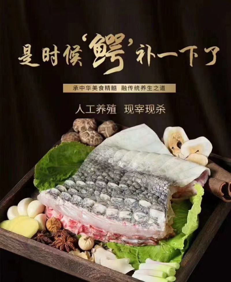 鳄鱼肉