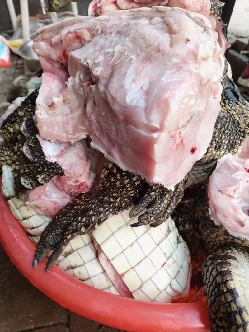 鳄鱼肉