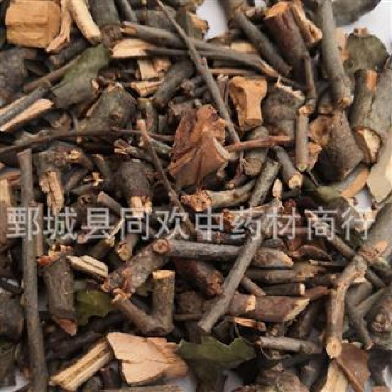 【黑桑寄生】@【同欢药材】中药材批发供应