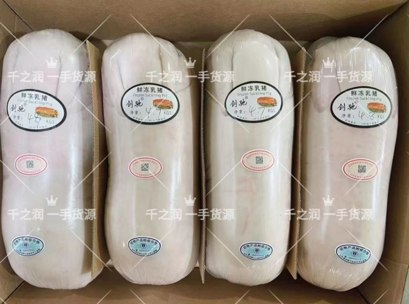冻乳猪，烤乳猪，乳猪，2--40公斤大量现货