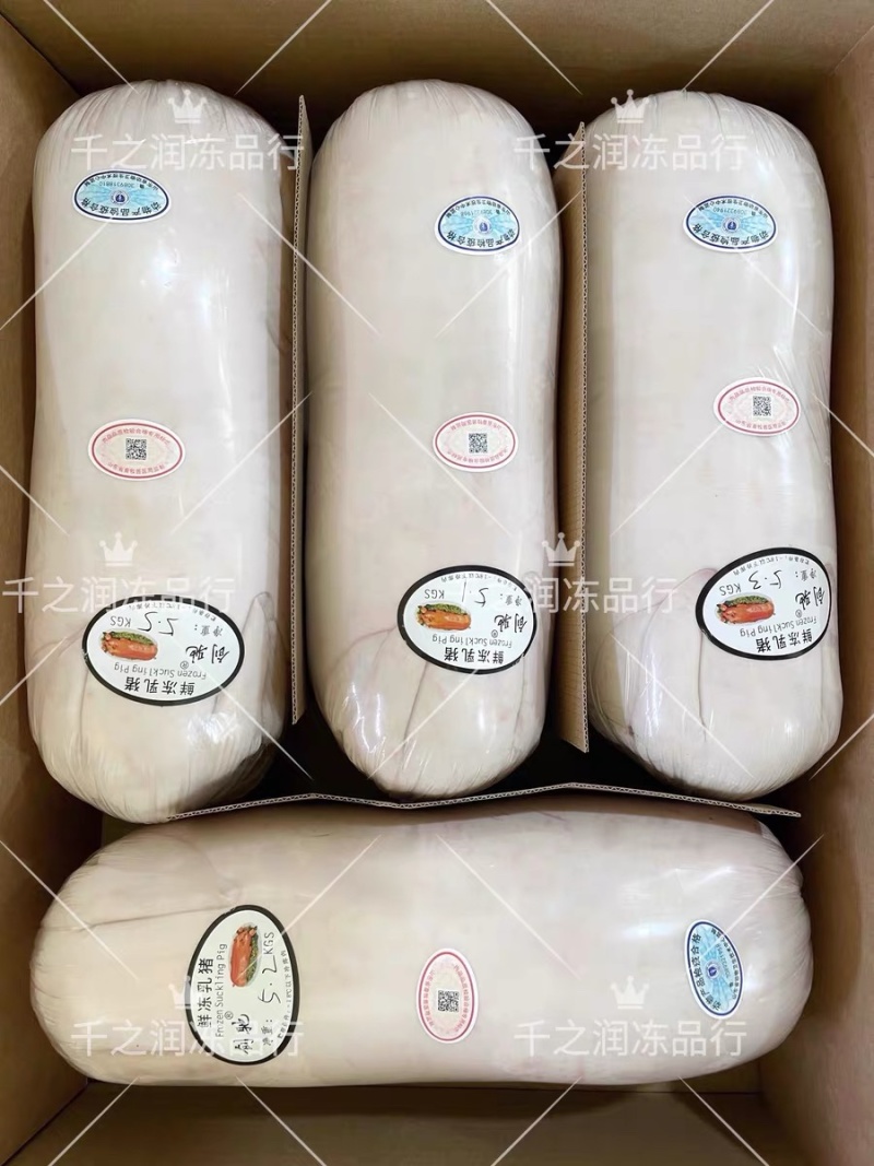 冻乳猪，烤乳猪，乳猪，2--40公斤大量现货