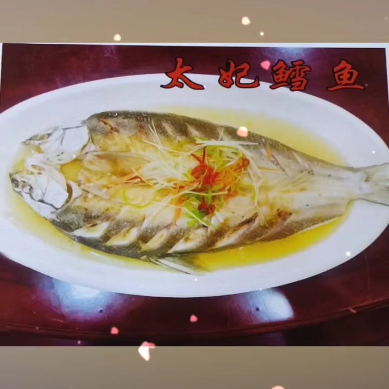 太妃鳕鱼《活鱼宰杀，开背鱼》