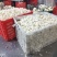 浙江台州松花菜散花白面青梗有机花菜产地代发全国市场