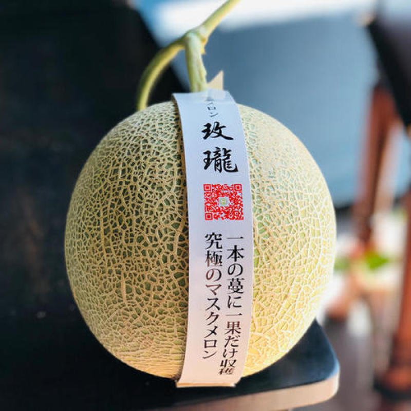海南网红玫陇瓜网纹哈密瓜一件代发对接电商全国批发市场