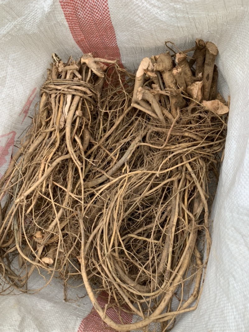 新鲜野生白花牛奶根