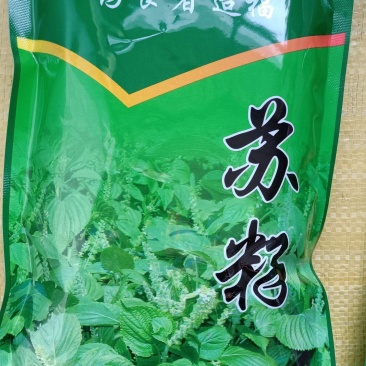苏籽