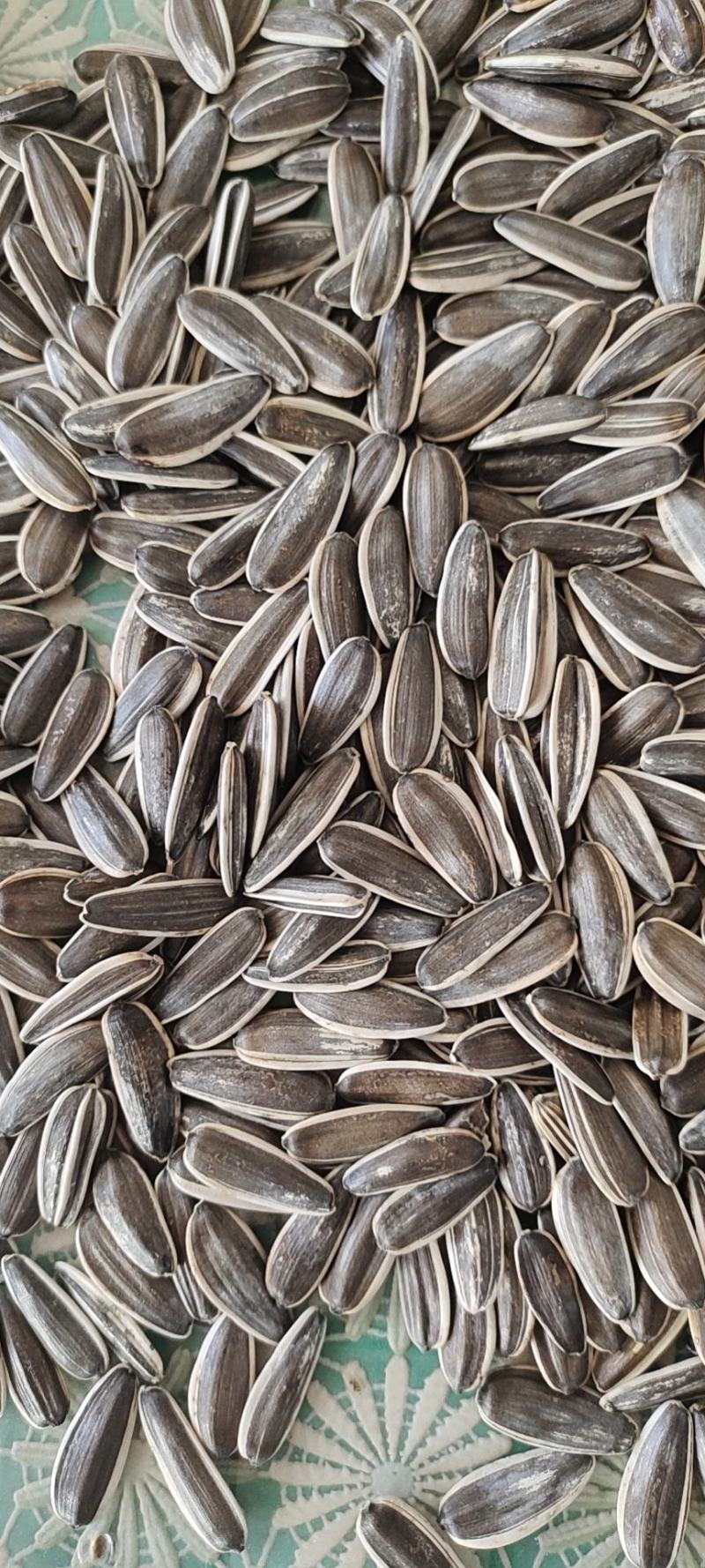 葵花高端炒货，205以里的千粒，7万斤