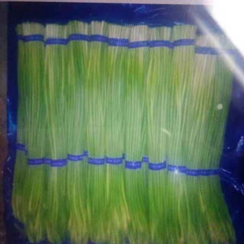 蒜苔蒜薹红帽蒜苔大量上市产地直供价格便宜按需供应
