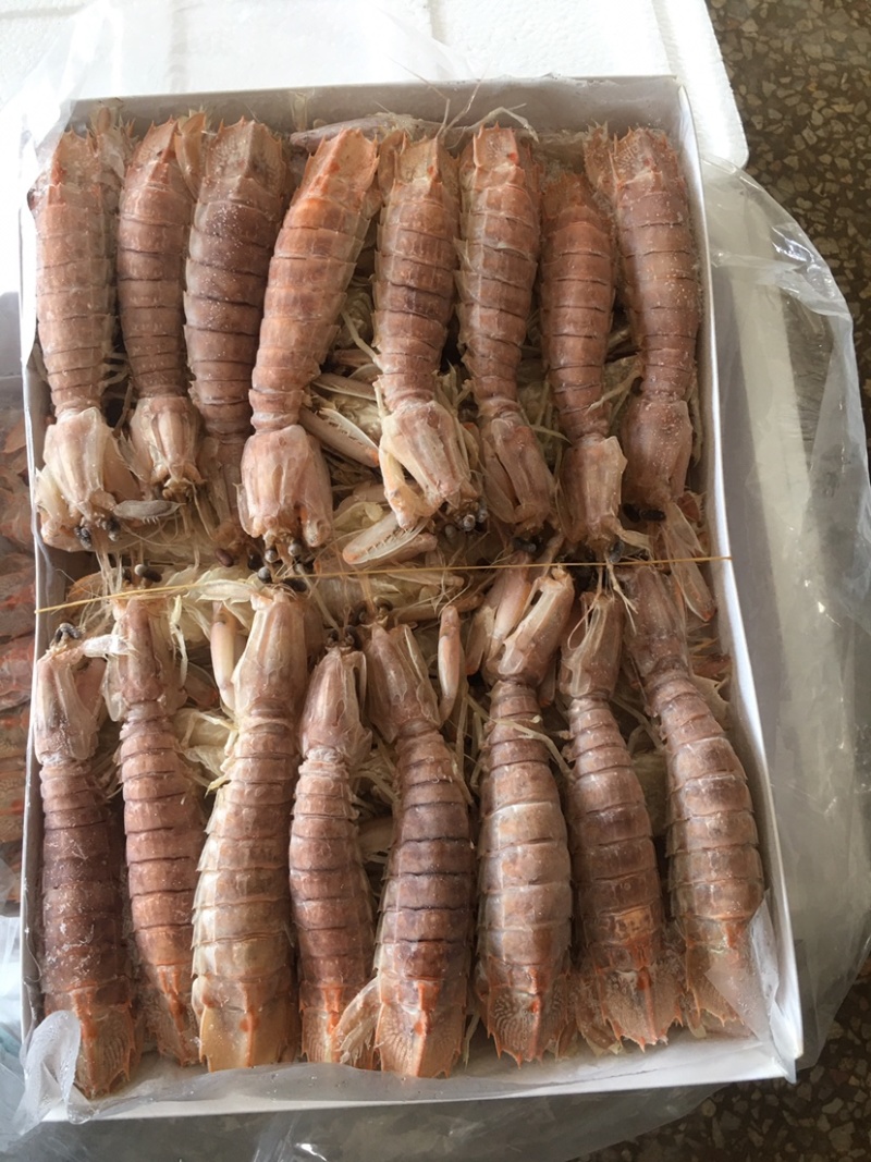活煮，熟冻皮皮虾。天然海产品。绿色食品。天然无污染。