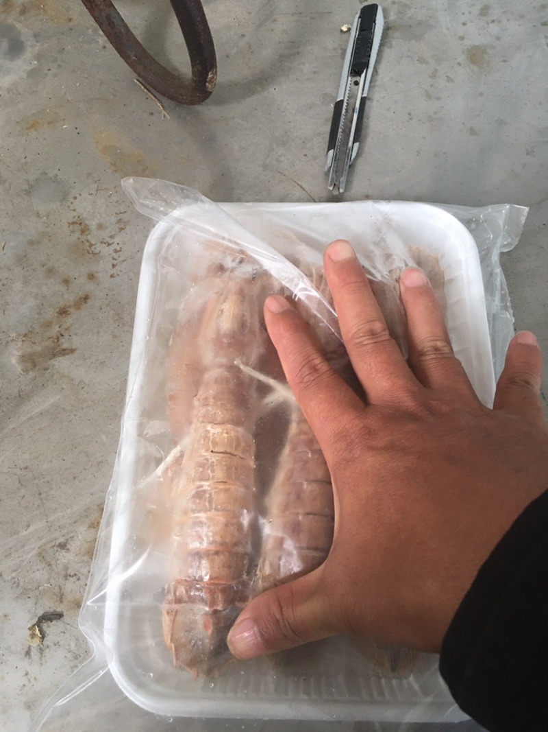 活煮，熟冻皮皮虾。天然海产品。绿色食品。天然无污染。
