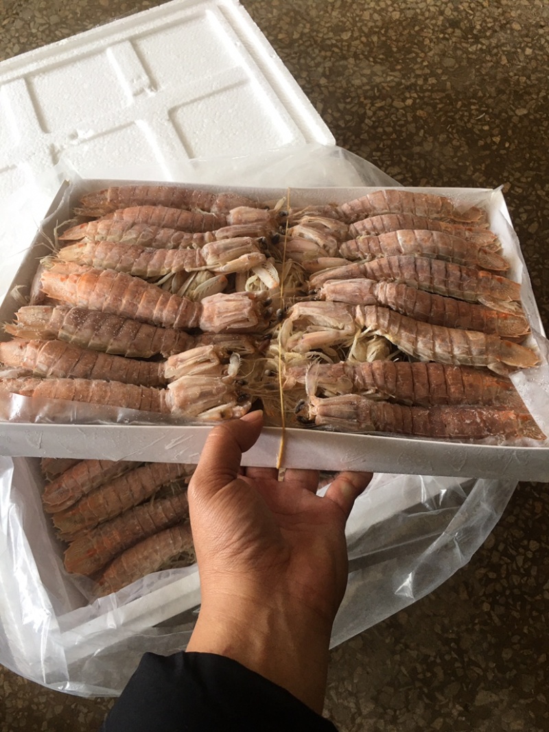 活煮，熟冻皮皮虾。天然海产品。绿色食品。天然无污染。