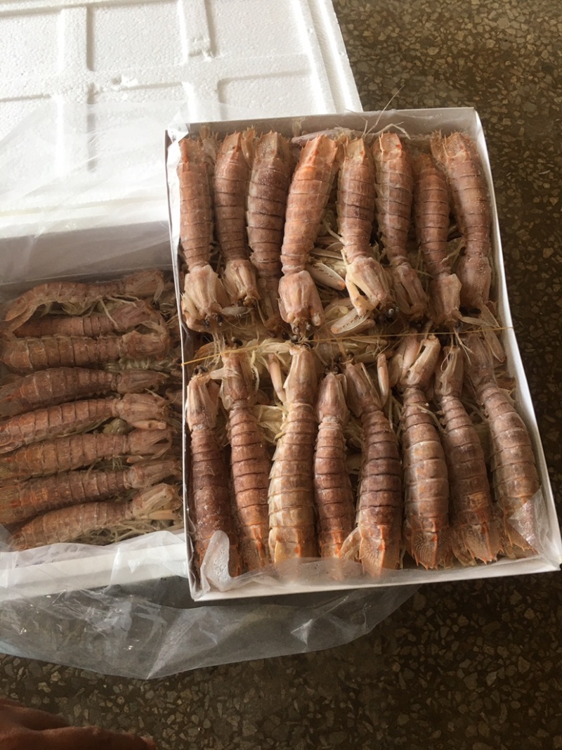 活煮，熟冻皮皮虾。天然海产品。绿色食品。天然无污染。